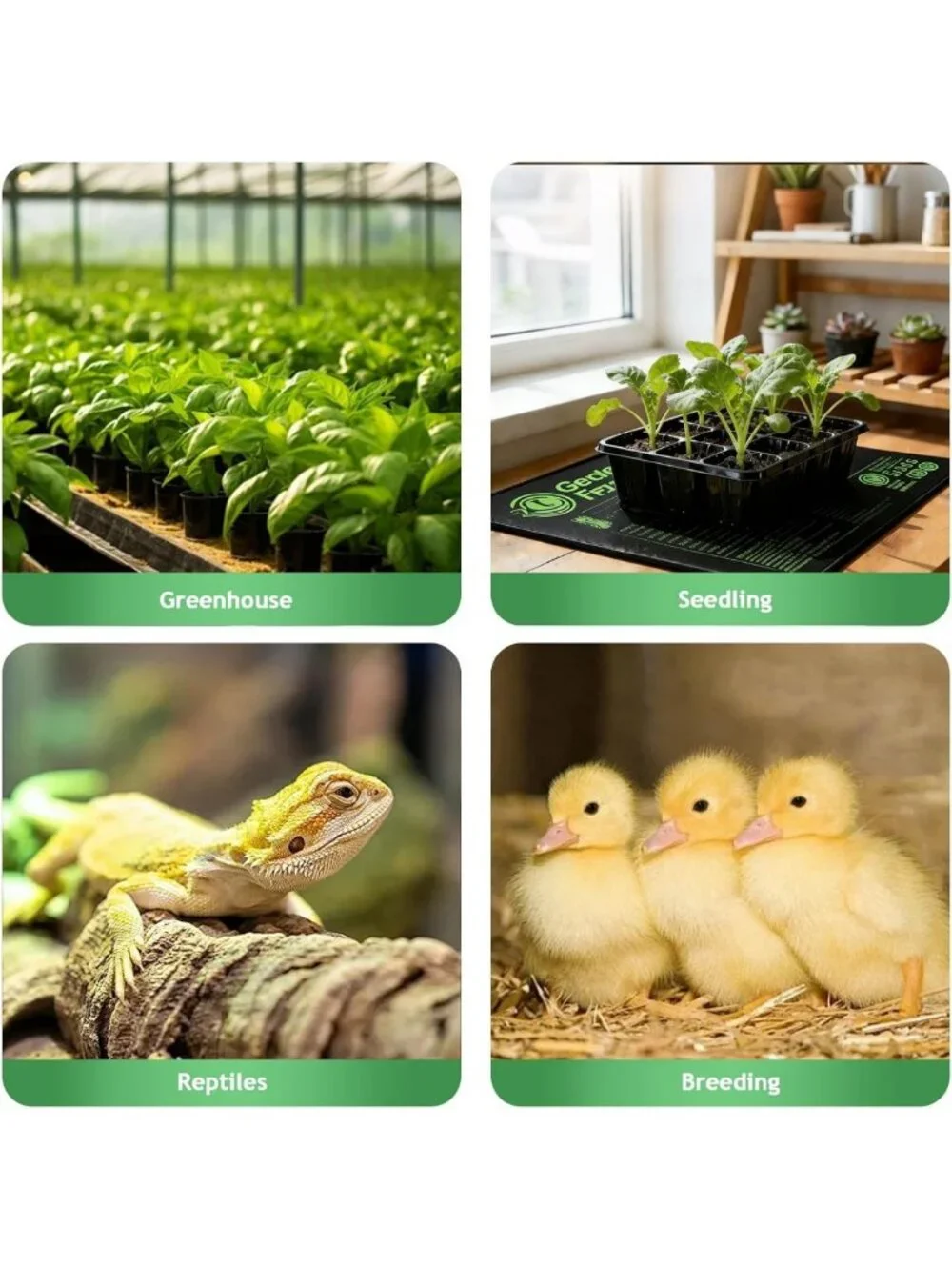 Digital Thermostat Temperature Controller for Reptiles, Greenhouse & Brewing